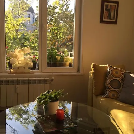 Sweet In The Heart Of Apartment